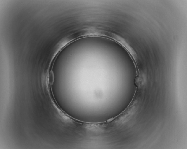 X0000112200909200908071431