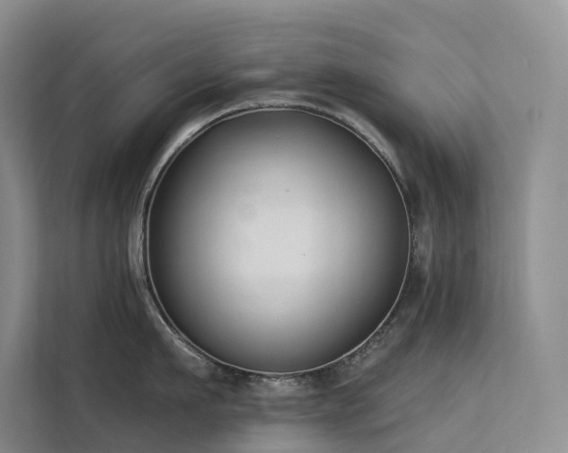 X0000112200911200908071431