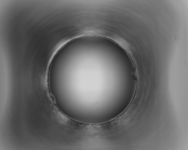 X0000112200912200908071431