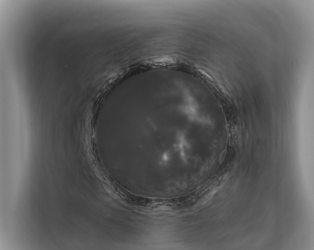 X0000112200913200908071431