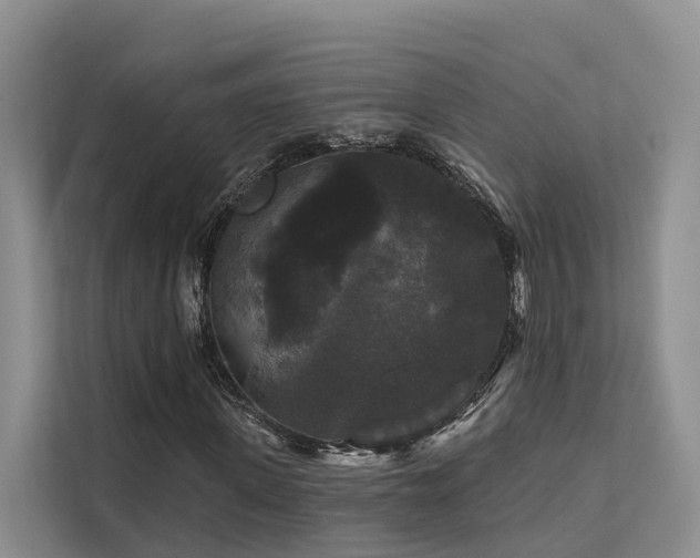X0000112200915200908071431