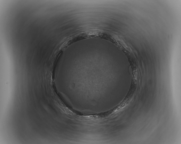 X0000112200916200908071431