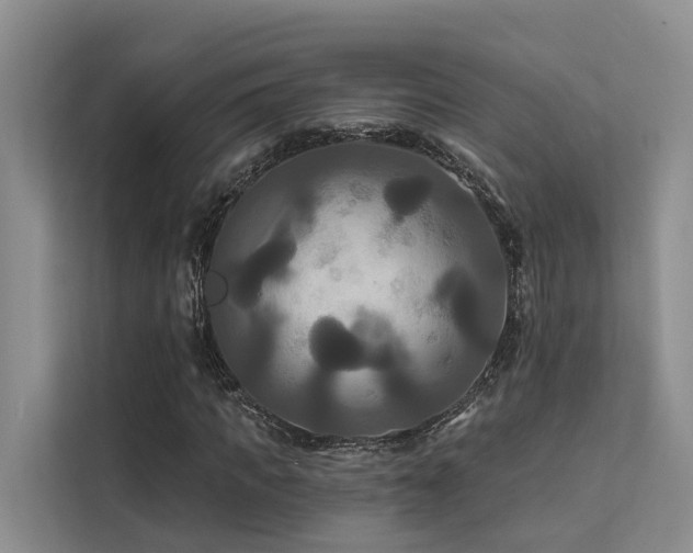 X0000112200917200908071431
