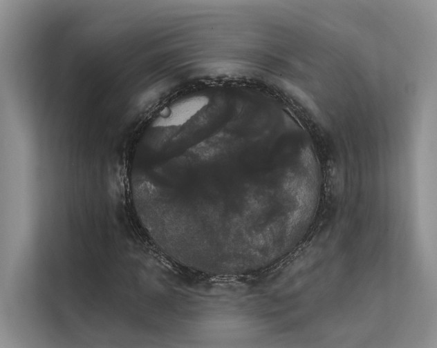 X0000112200918200908071431
