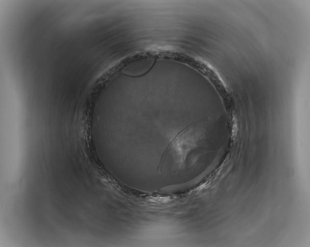 X0000112200919200908071431