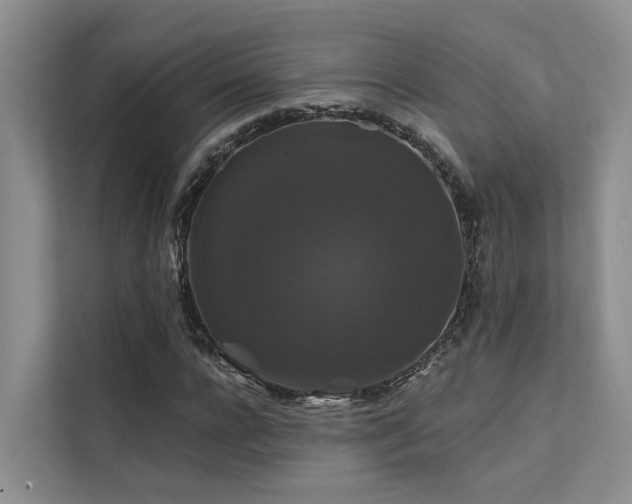 X0000112200920200908071431