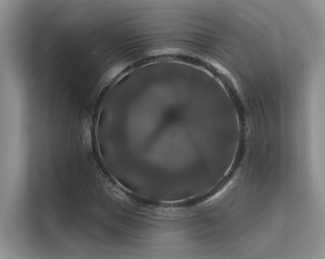 X0000112200921200908071431