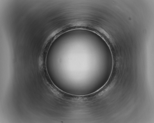 X0000112200922200908071431