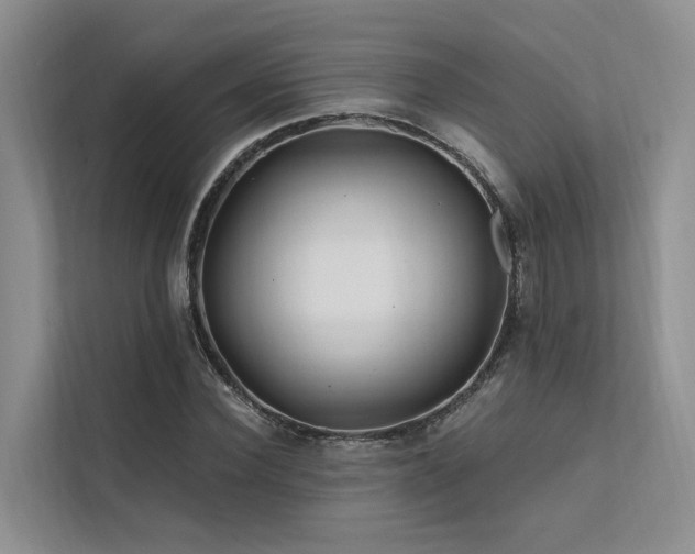 X0000112200924200908071431