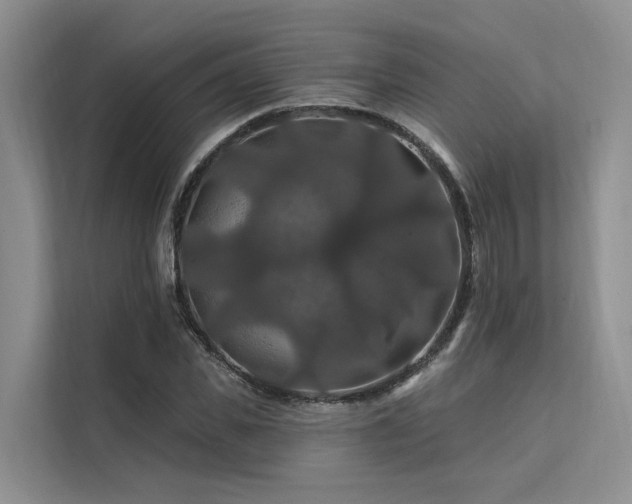 X0000112200925200908071431