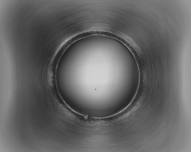 X0000112200926200908071431