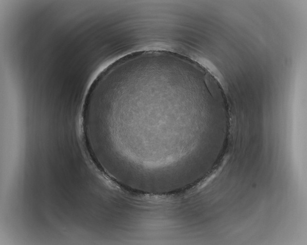 X0000112200928200908071431