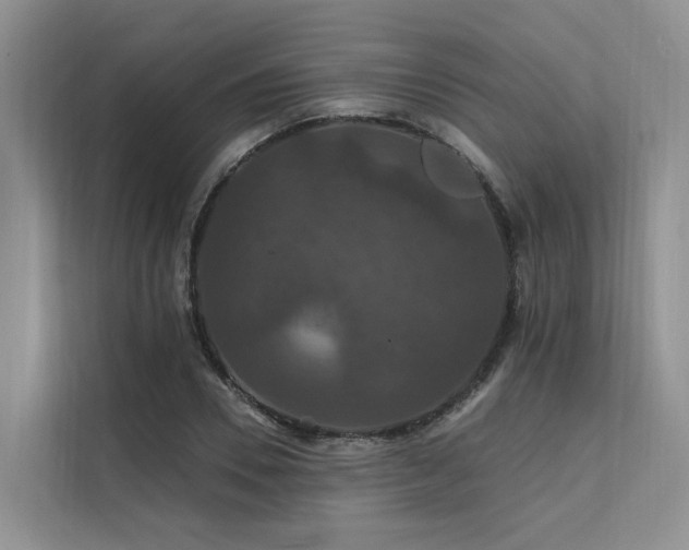 X0000112200930200908071431