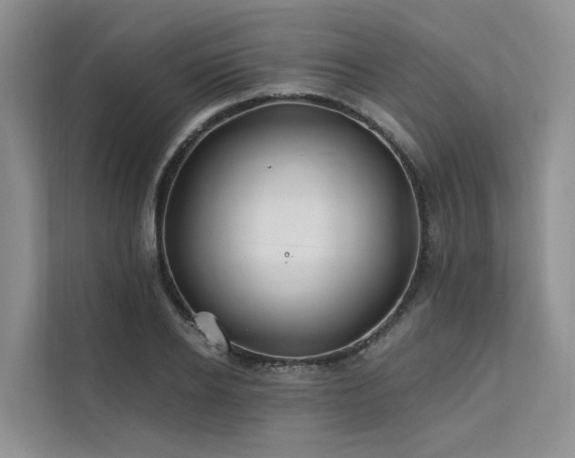 X0000112200934200908071431