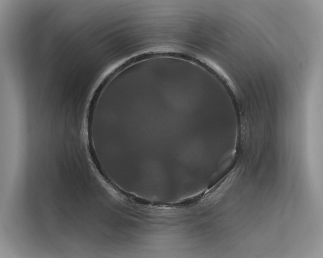 X0000112200935200908071431