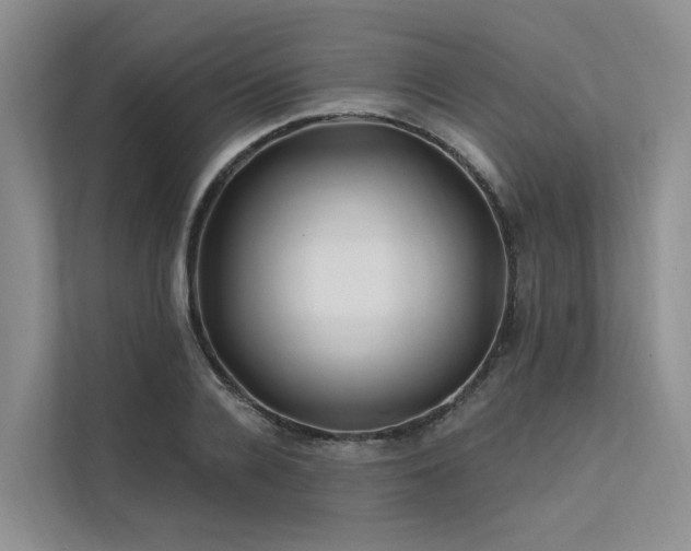 X0000112200936200908071431
