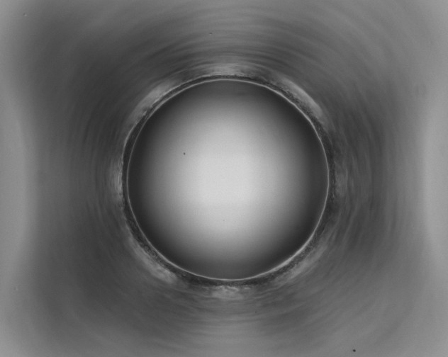 X0000112200938200908071431