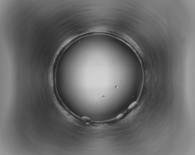 X0000112200939200908071431