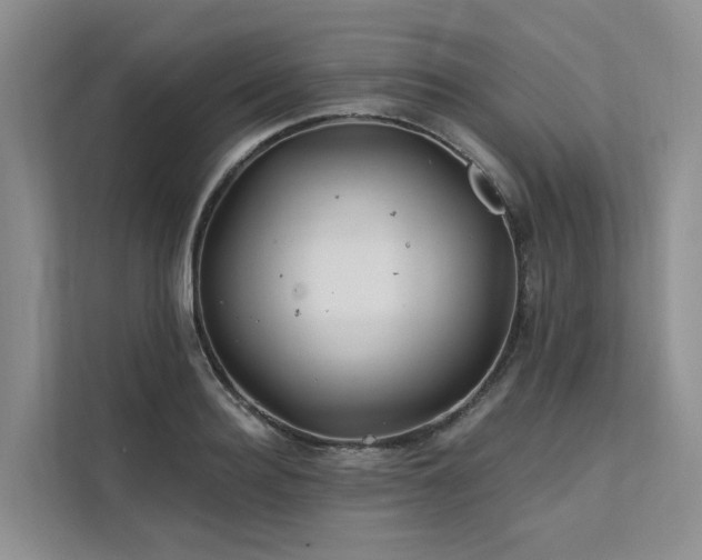 X0000112200940200908071431
