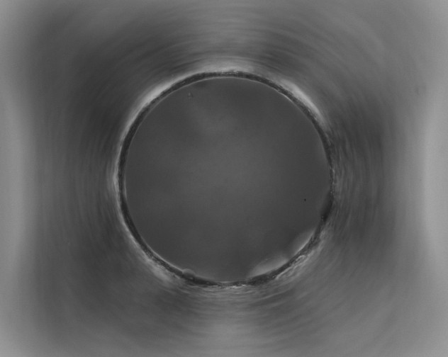 X0000112200943200908071431