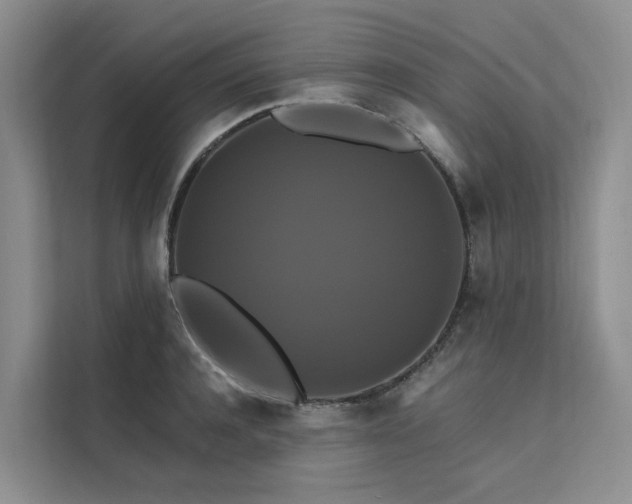 X0000112200944200908071431