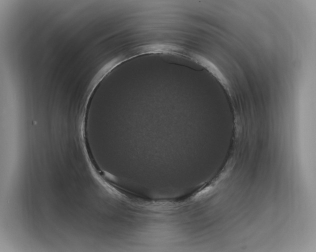 X0000112200946200908071431