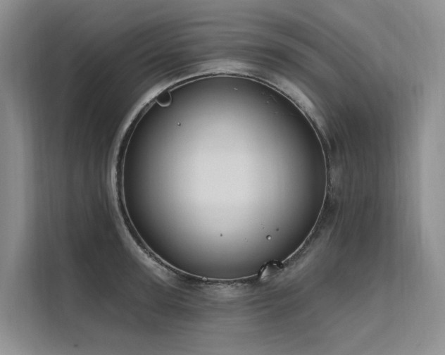 X0000112200947200908071431