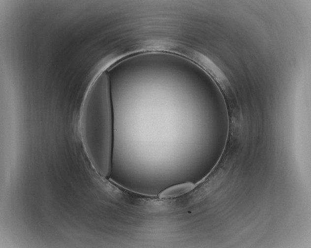 X0000112200948200908071431