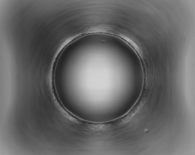 X0000112200949200908071431