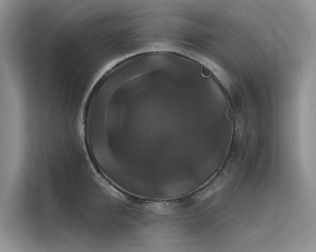 X0000112200950200908071431