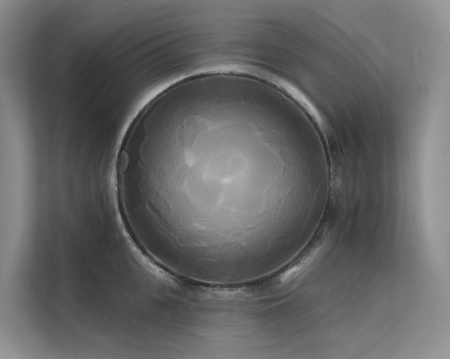 X0000112200951200908071431