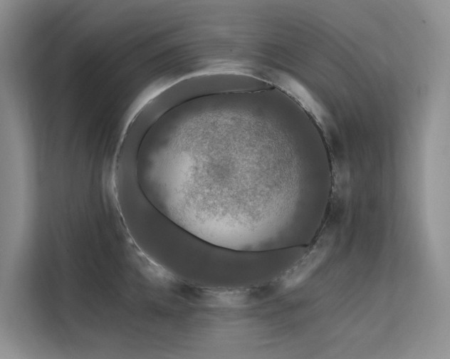 X0000112200952200908071431