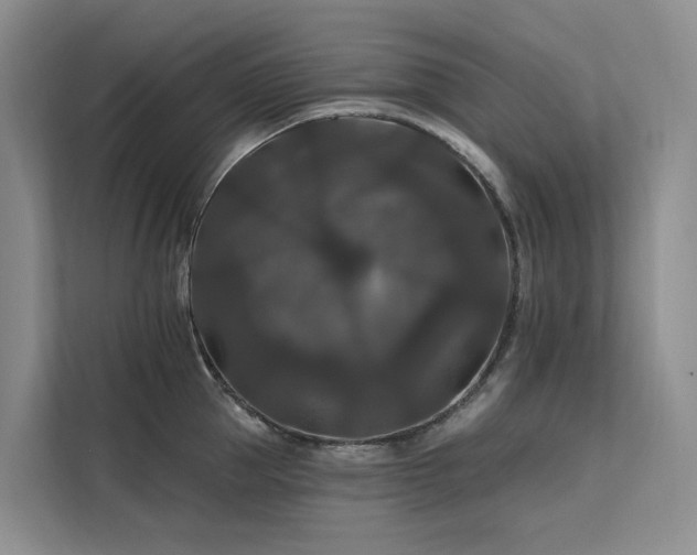 X0000112200953200908071431