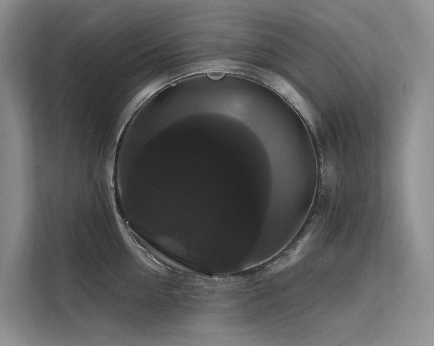 X0000112200954200908071431