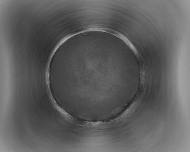 X0000112200955200908071431
