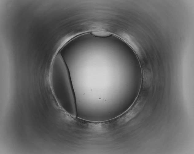 X0000112200956200908071431