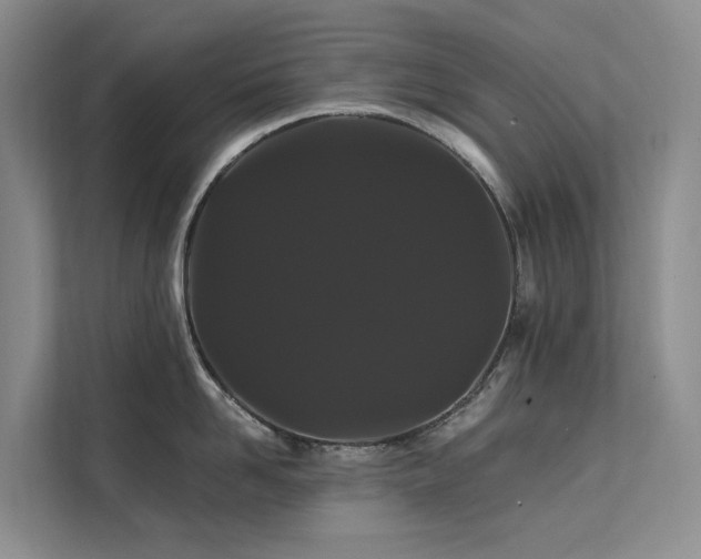 X0000112200958200908071431