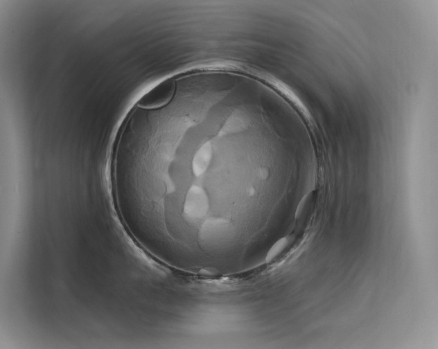 X0000112200959200908071431