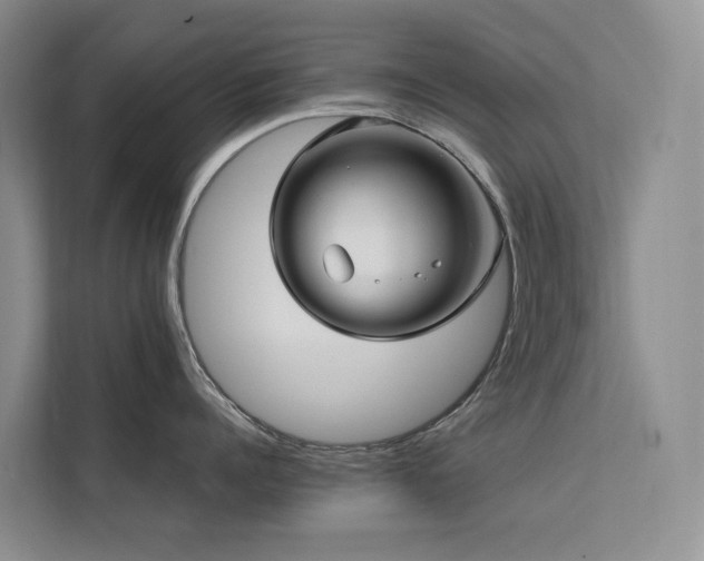 X0000112200960200908071431