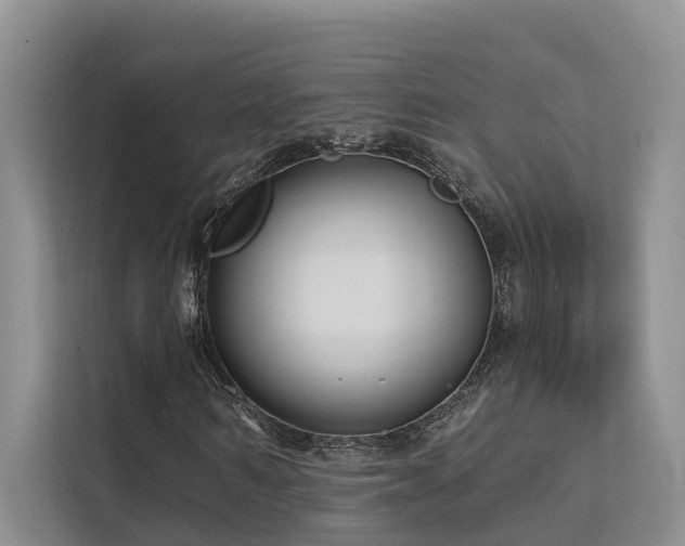 X0000112200962200908071431