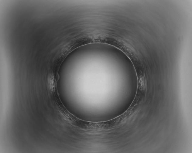 X0000112200963200908071431