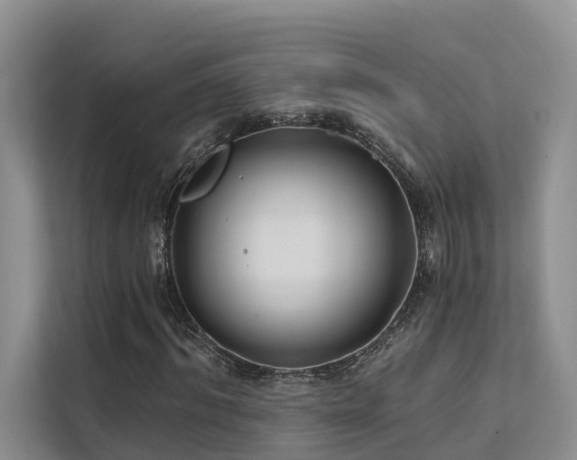 X0000112200964200908071431