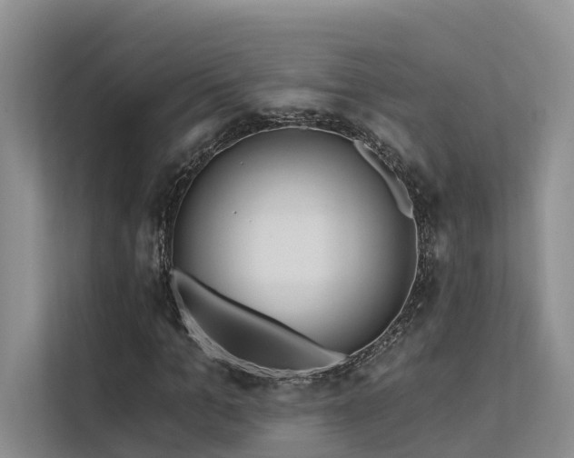 X0000112200965200908071431