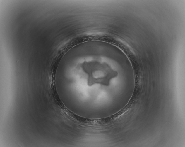 X0000112200966200908071431