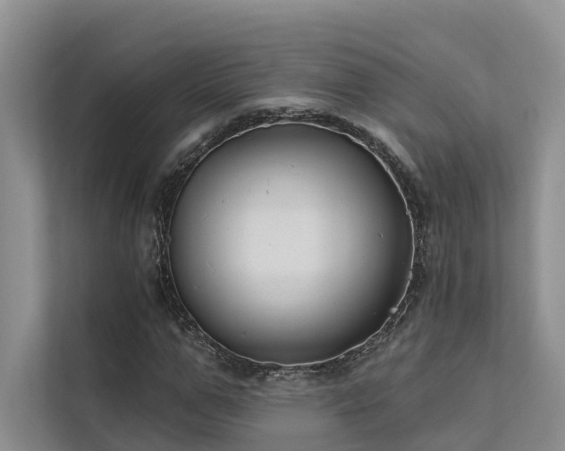 X0000112200967200908071431