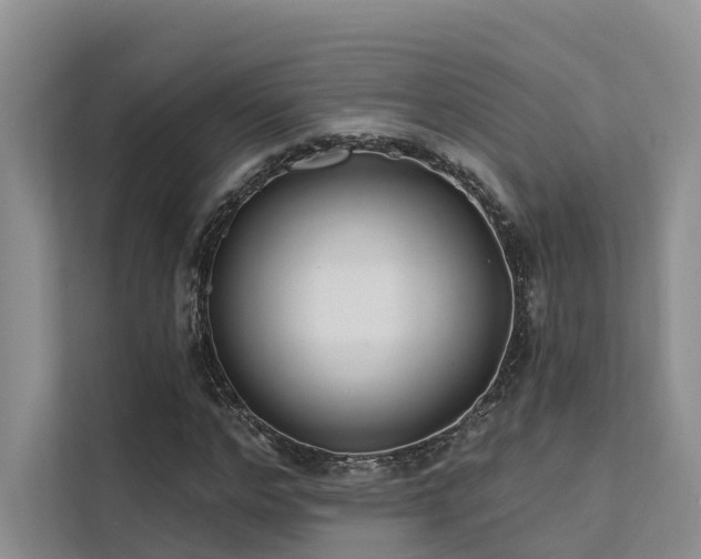 X0000112200968200908071431
