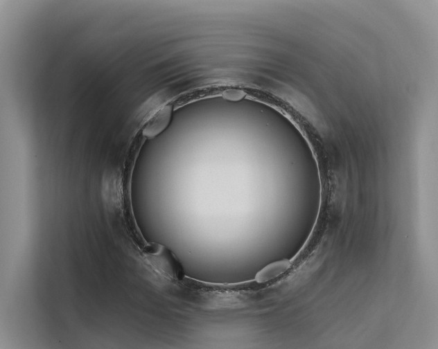 X0000112200969200908071431