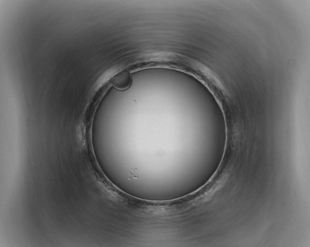 X0000112200970200908071431