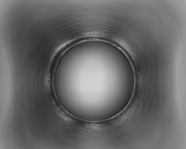 X0000112200971200908071431