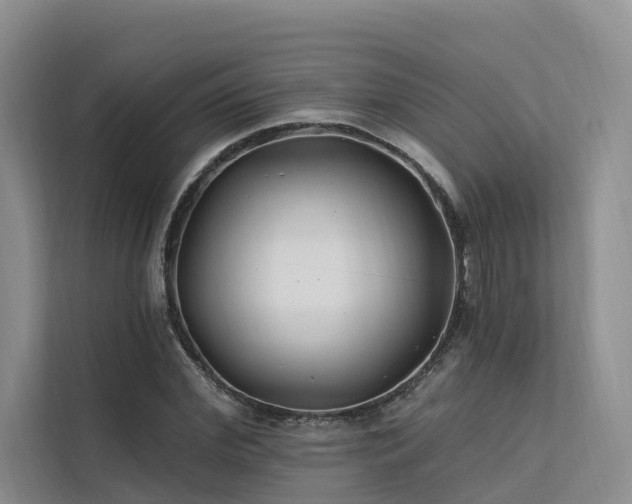 X0000112200972200908071431